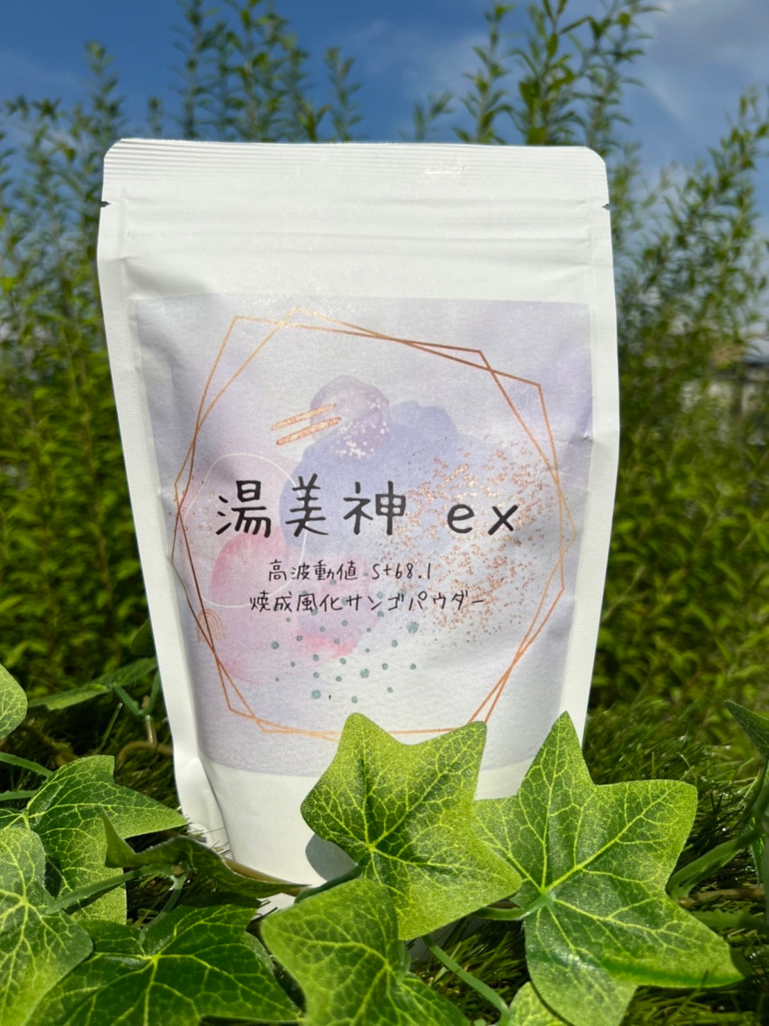 湯美神EX